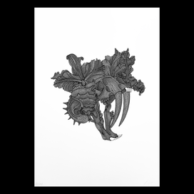 Черно-белые сны 