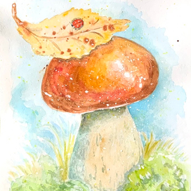 Грибная осень