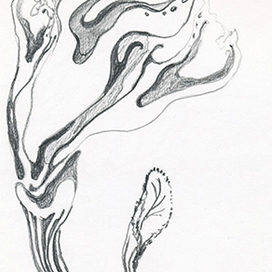 карандашные зарисовки