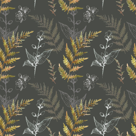 Папоротники