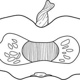 Тыква вектор