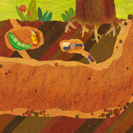 Вот такой крот