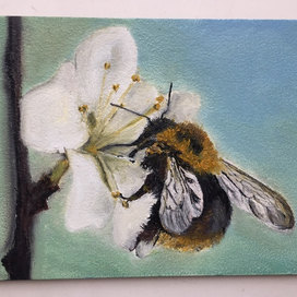 Шмель трудяга