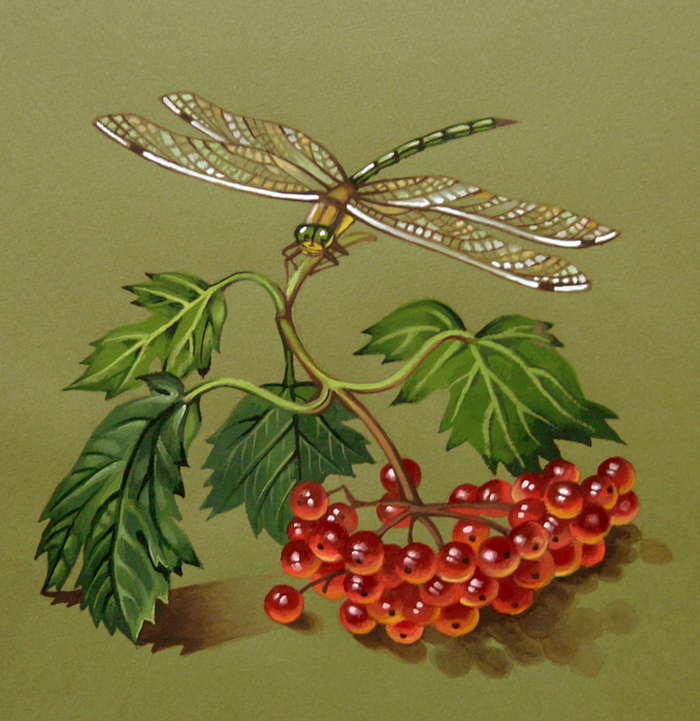 Веточка калины и стрекоза