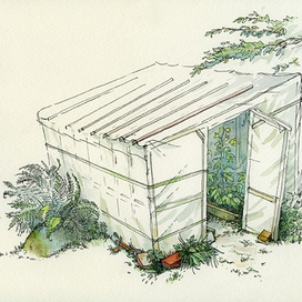 дачные зарисовки