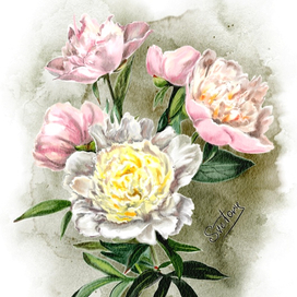 Дачный букет