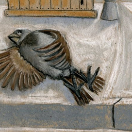 Растрепанный воробей-2