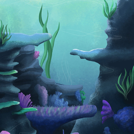 морское дно