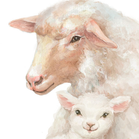 Овечья нежность