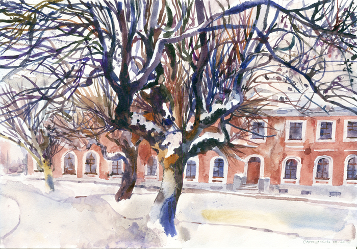 Зимние яблони. Тимирязевская академия.