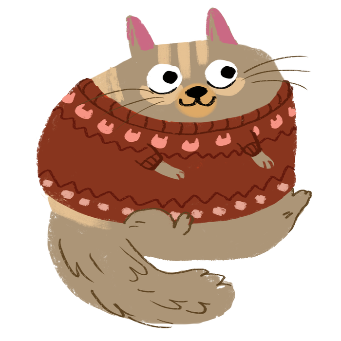 котик в свитере