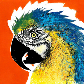 Попугай Ара 