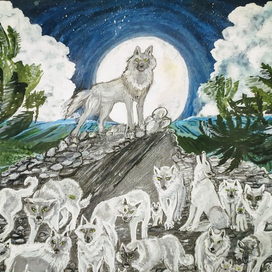 Первая встреча