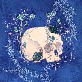 Черепулька и улитка