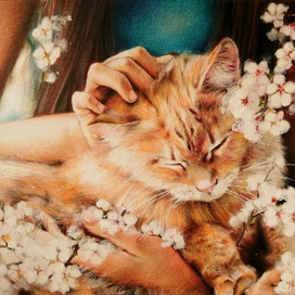 ** Благодарность **