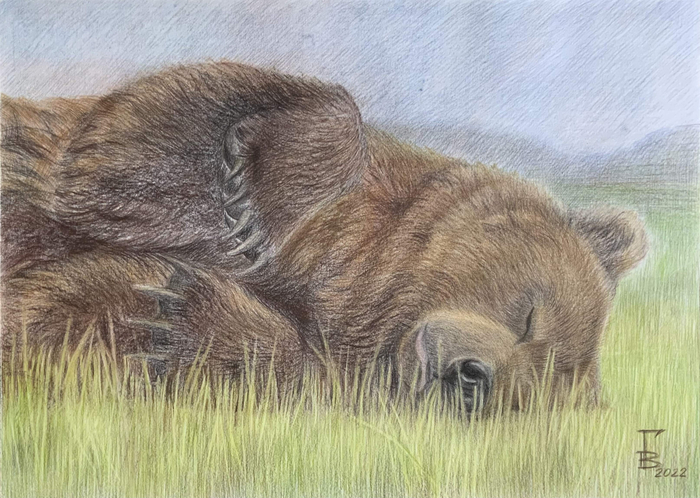 Дневной сон