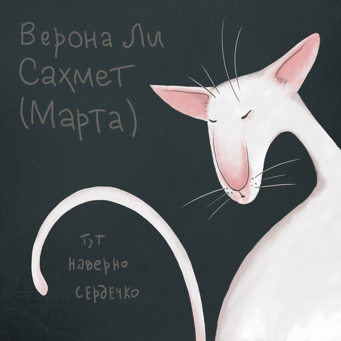 Портрет кошки