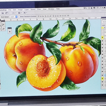 Иллюстрация с персиками.