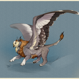 Грифоша Таня.