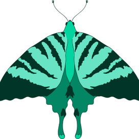 Зеленая Бабочка