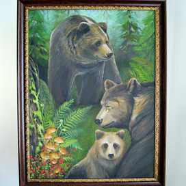 Медвежья семья в лесу