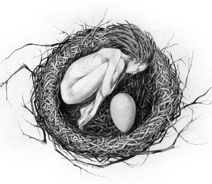 (без названия)