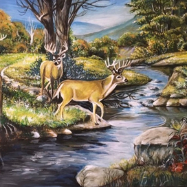 Утро в лесу 