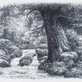 Дерево и ручей