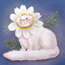 Ромашка домашняя, Недовольная