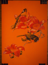 Райские птицы