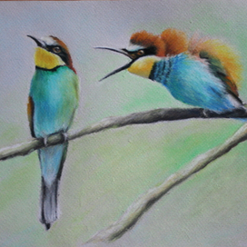 Сценка из  жизни