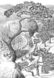 По Чусовой.