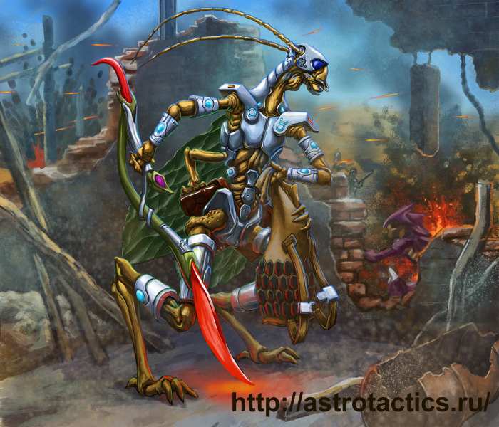 диптер мародёр