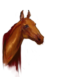 Лошадь рыжая