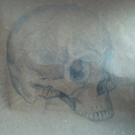Череп с натуры