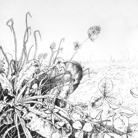 инктобер 2019 (freeze, snow, ash)