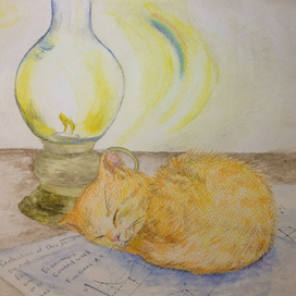 Котёнок у лампы