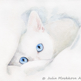 Белая кошечка