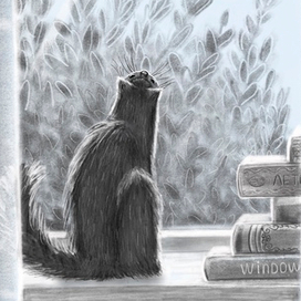 Вид из окна