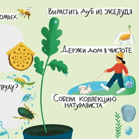 Иллюстрация для статьи