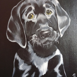 Без названия 