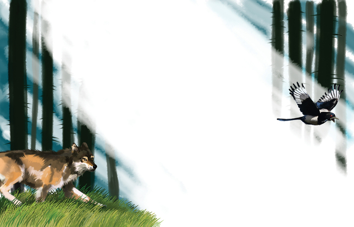 "Приключения кота Барона", 3