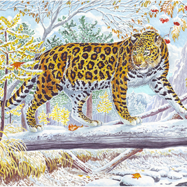 Ну всем они милы - изящны, статны... Да только, при политике такой, хоть есть пока у них на шкуре пятна, но будут - лишь на совести людской.