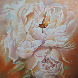 Пионы Нежность