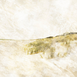 Куршская коса