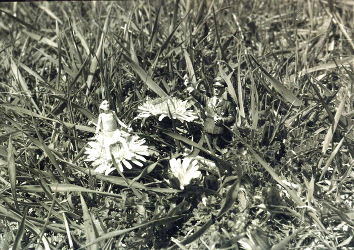 кадр 3  На травке.