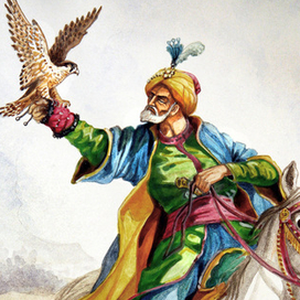 С соколом...