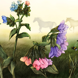 Сибирские сказки "Лошадинный бог")