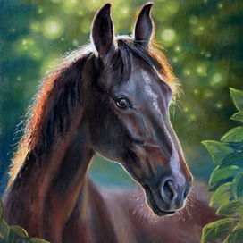 старая лошадь