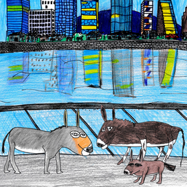 ОСЛЫ В ОСЛО